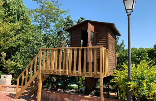 Finca Vitoria - Foto 6