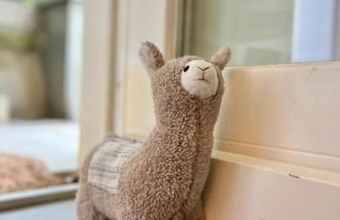 bloom - Traumlage direkt am See in Tegernsee Stadt - Foto 52