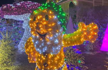 Charmante maison à Le Barcarès - Foto 21