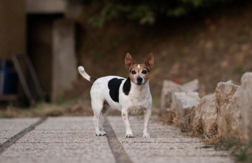 casa paola - Foto 55