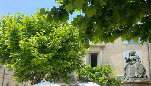 Appartement "La Marquise" centre de Grignan - Foto 4