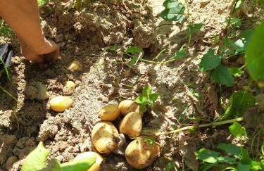 Villa Colle di Giotto Mugello, Tuscany - Foto 36