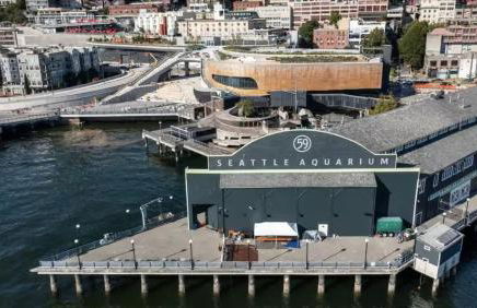 Waterfront Spacious 1BR, Den Walk to Pike Place - Photo 50