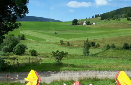 Schwarzwaldblick - Foto 8