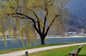 Verde Pieve - Foto 21