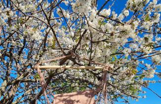 Il Violino degli Dei Holiday House - Foto 32