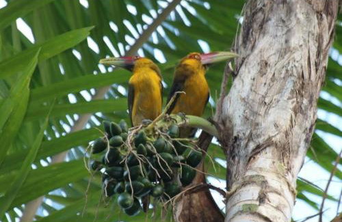 Quinta da Pedra do Elefante - Foto 22