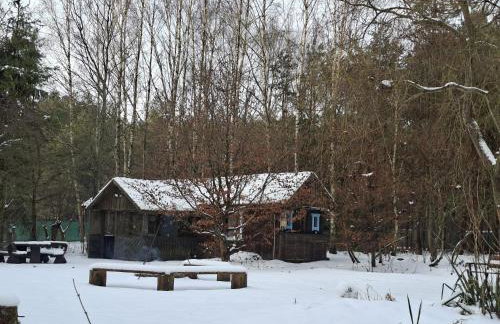 Dom Pod Brzozami Lipinki Bory Tucholskie basen - psy, koty mile widziane! - Photo 45