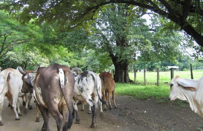 Nicely priced duplex in Surfside with private pool and AC in every room - Photo 32