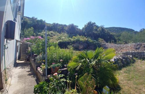 Apartments Bubica - Photo 57