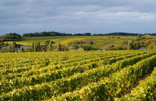 Cottage du vigneron - Foto 7