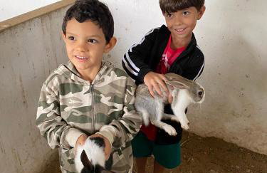 Fazenda Terra Bonita - Foto 12