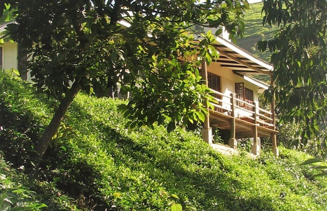 Kimakia Tea Cottages - Foto 22