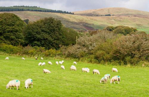 Ty Pren Bach - Foto 21