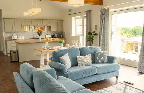 Cornflower - Foto 21