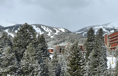 NEW! Marriott Slope View Ski in Ski out Luxury Studio Sleeps 4 Full kitchen, Amenities & Fee Parking - Foto 7