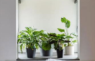 The Bowie is a David Bowie themed Smart House - Foto 68