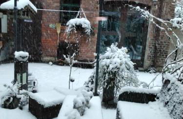 TheBackyard - Foto 24