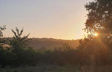 gite la bergerie - Foto 11