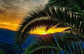 Agriturismo La Marginella - Photo 66