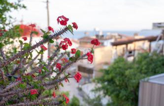 Memories Gytheio - Foto 23