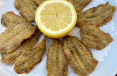 Piccola Navetta - Foto 40