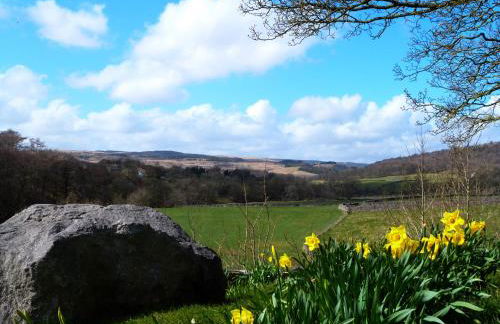 Rose Cottage - Foto 12