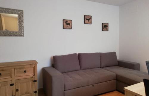 Edelweiss - Photo 16