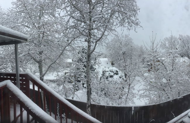 Exquisite 7-BR Home by the Mountains - Photo 25