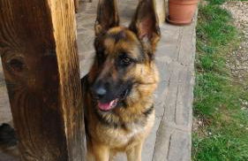 Casa Rural Las Águedas - Photo 13