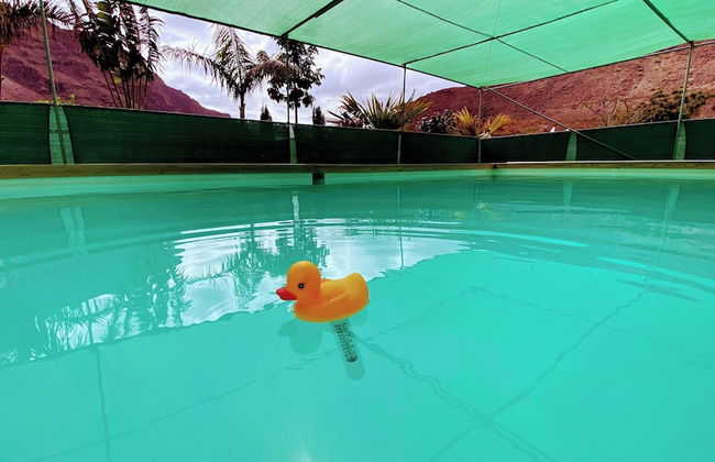 Renovated Tiny House in the Country Near Fataga - Photo 16