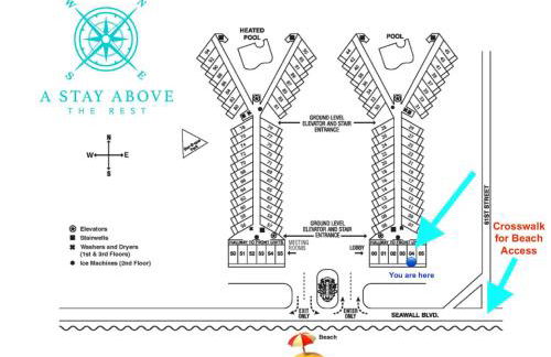 CDM 204 - Turtle-y Awesome - Foto 11
