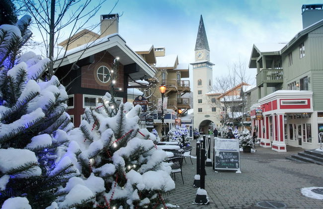 Long Trail House at Stratton Mountain Resort - Photo 32