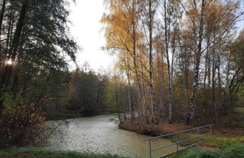 Ferienwohnung Hainbuche Lübben im Spreewald - Foto 36
