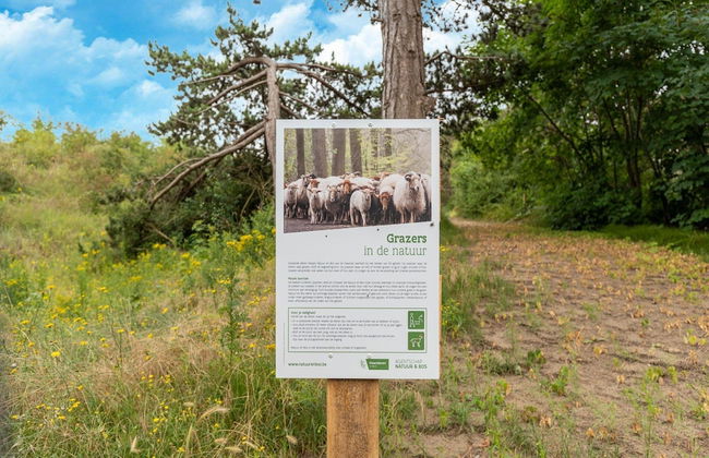 Chalet in De Haan Near Sandy Beaches - Photo 16