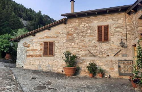 Agriturismo Fattoio alle Ripe - Foto 4