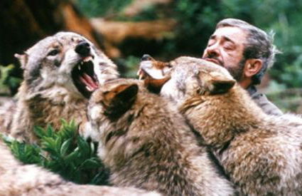 Sebastiana's FeWo - Foto 20