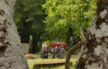 Domaine du Venet - Foto 6