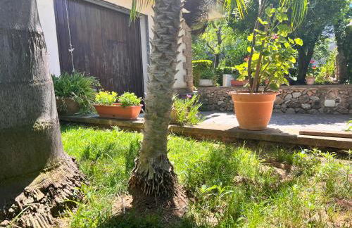 IL Rustico di Giò - Foto 25