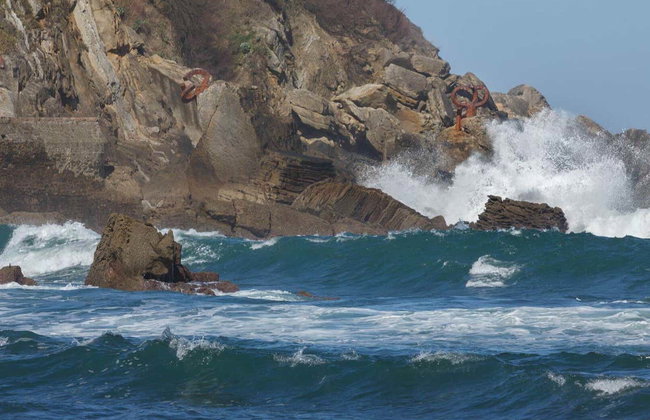 Paseo en barco a la isla de Santa Clara - Foto 8