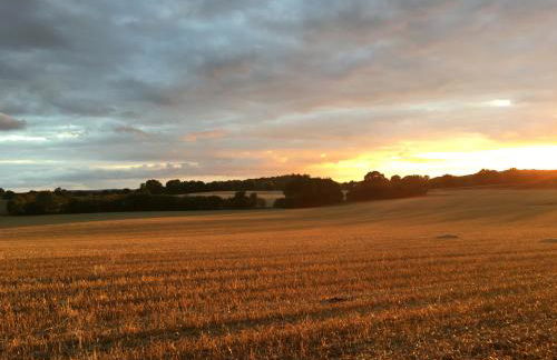 Ferienwohnung 2 Hof Flüh - Foto 17