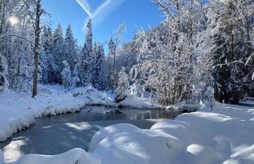 Happy Moose - Cosy Mont Blanc View apartment with sauna - Photo 50