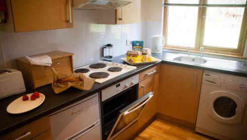 River Edge Lodges - Foto 3, stove, toaster