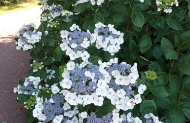 Gîte 2 personnes, proche mer - Foto 15