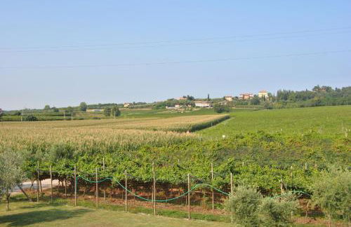 Romeo & Giulietta in bicicletta - Photo 9