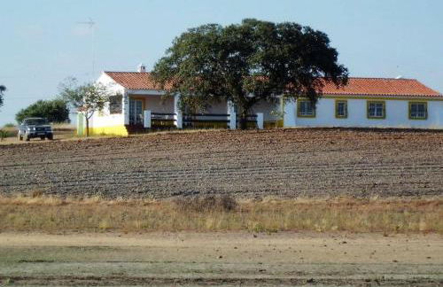 Monte da Figueira - Foto 6