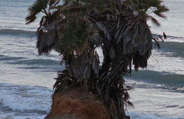 Apartamento Acapulco III Primera linea - Photo 21