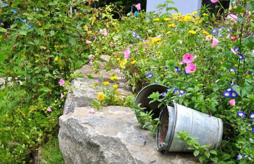 Erholung im Main-Tauber-Kreis - Foto 2