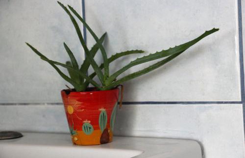 Villa Krassi - Foto 31