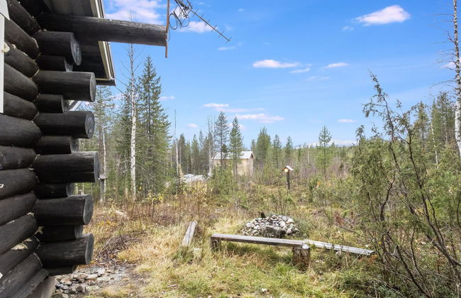 Tunturitähti, lainio - Foto 14